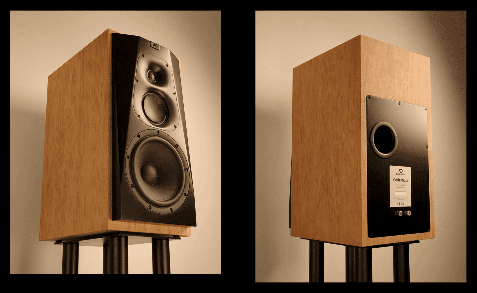 Audio First Designs Cadentia 3