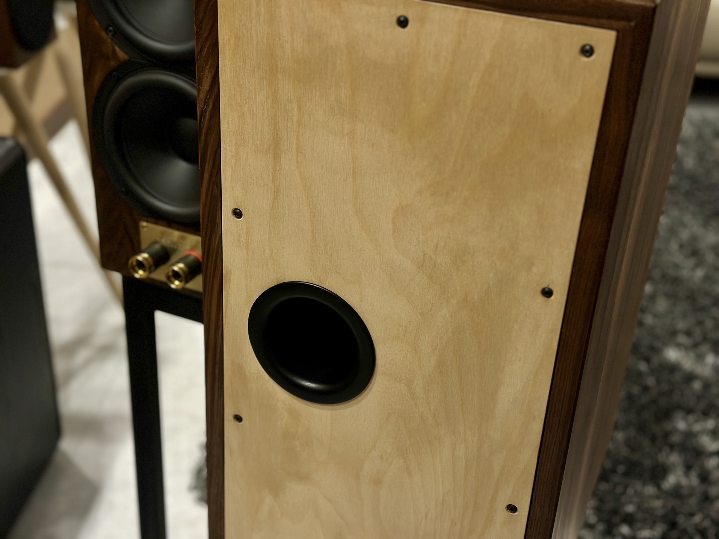 AUDIO FIRST DESI서브우퍼가ADENTIA3